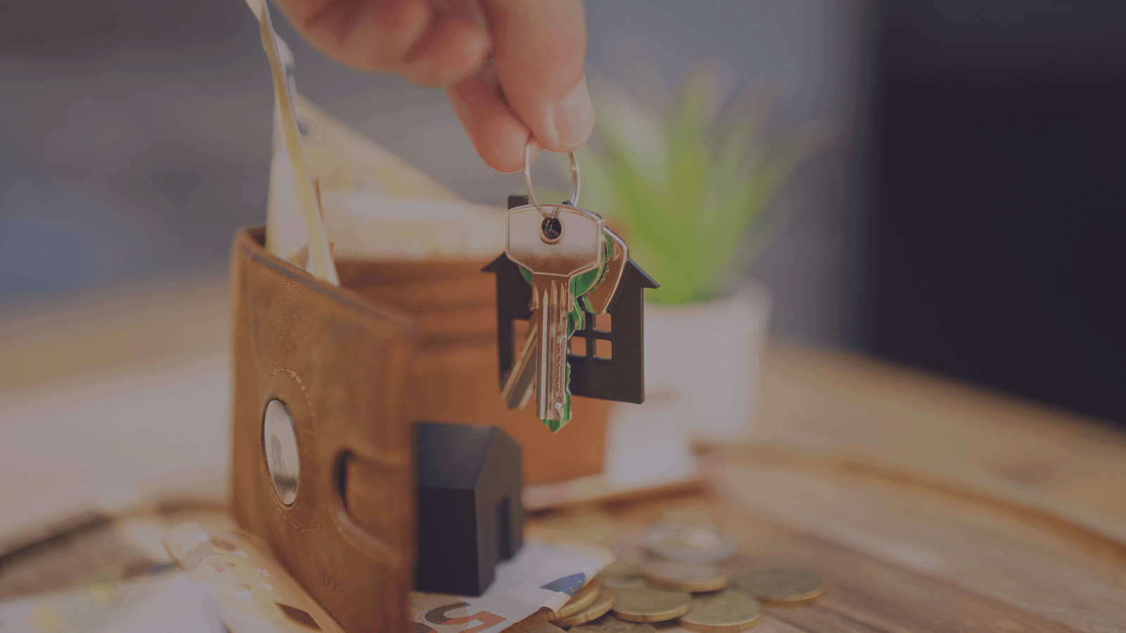 investment and property